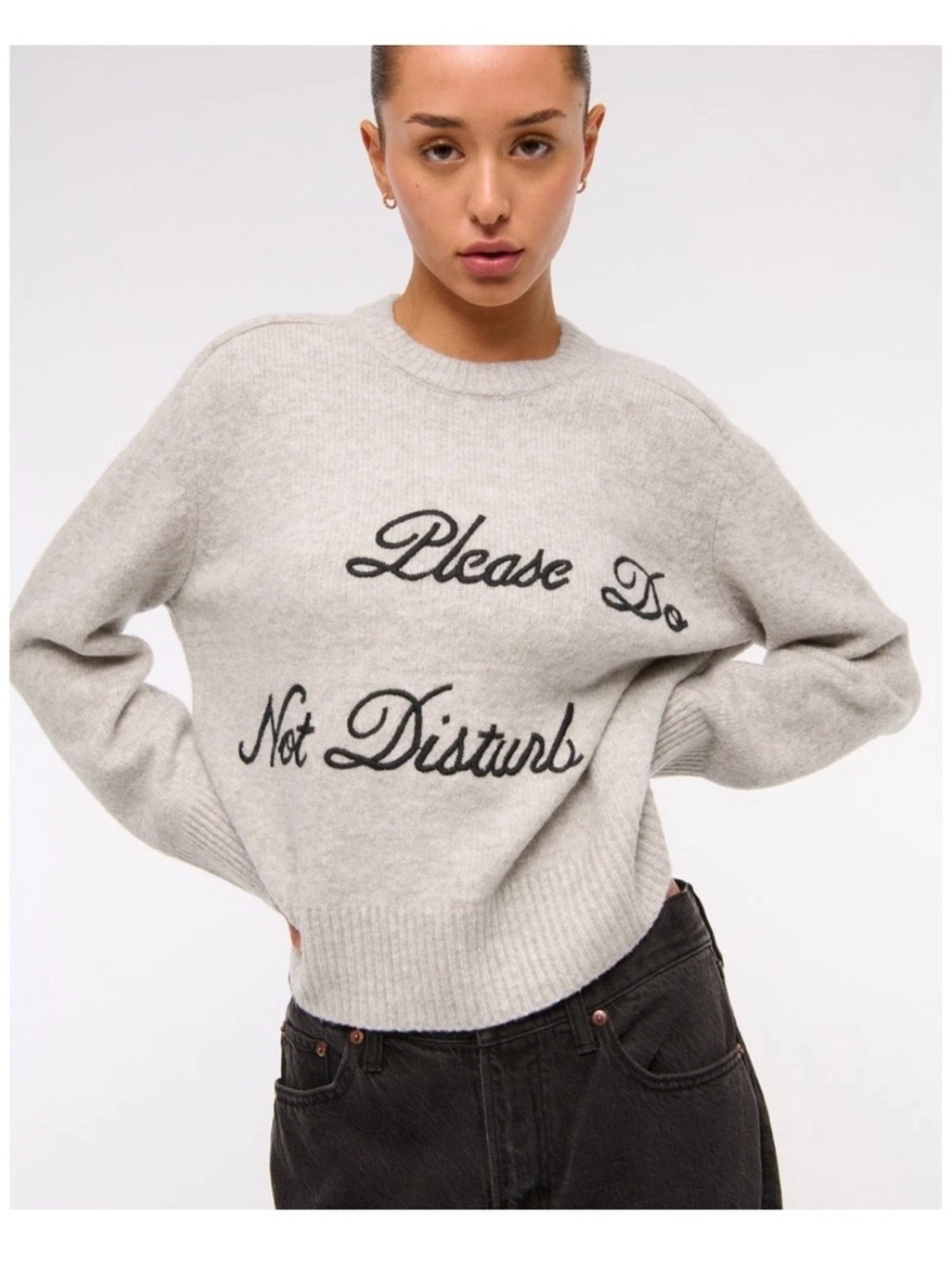 NWOT Abercrombie & Fitch Please Do Not Disturb Crewneck Sweater Size Medium